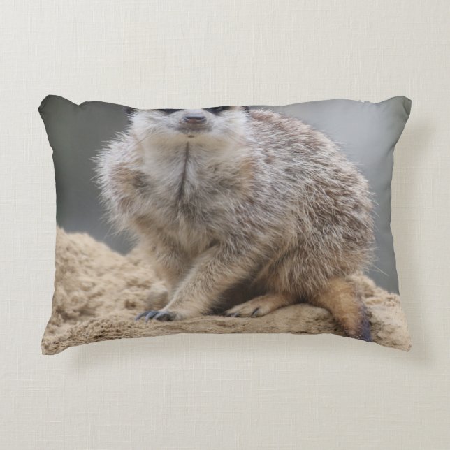 Almofada Decorativa Meerkat 021 (Frente)
