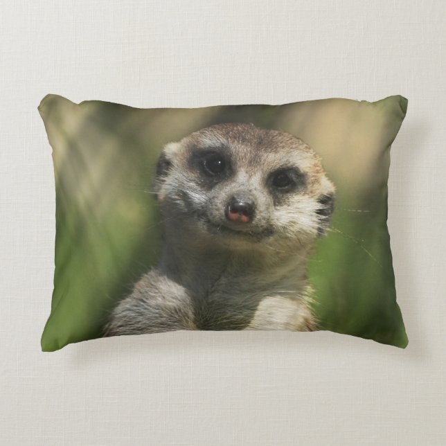 Almofada Decorativa Meerkat 034 (Frente)