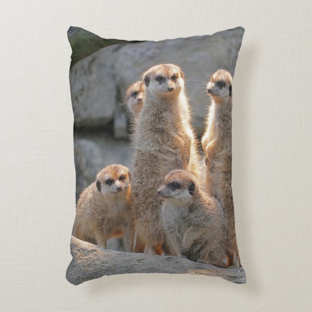 Almofada Decorativa Meerkat 110 (Frente(Vertical))