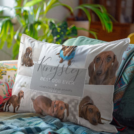 Almofada Decorativa Melhor Cão Chic Nunca | Perda de Pet de Colagem de