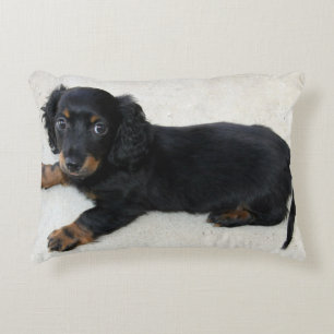 Almofada Decorativa Mini filhote de cachorro Longhair do Dachshund