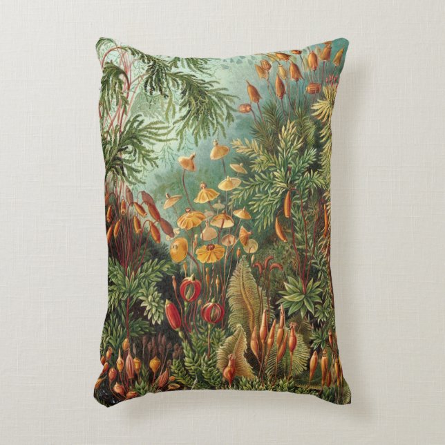Almofada Decorativa Muscíneas Antigas, Plantas de Musgo por Ernst Haec (Frente(Vertical))