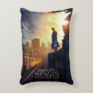 Almofada Decorativa NEWT SCAMANDER™ no edifício destruído