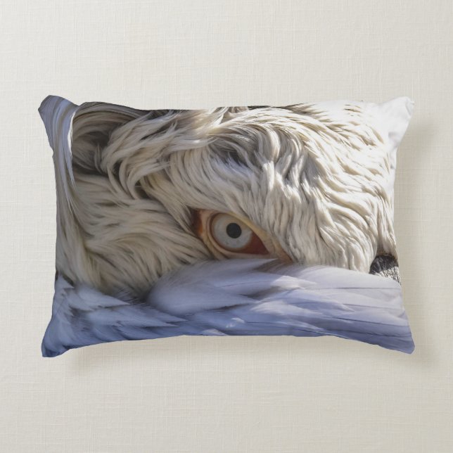 Almofada Decorativa O Olho de um Pelicano (Frente)