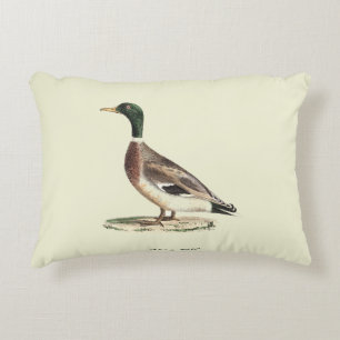 Almofada Decorativa O Pato-de-Alá ou Selvagem (Anas platyrhynchos)