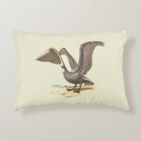 O Pelicano marrom (Pelecanus occidentalis) NY Bird