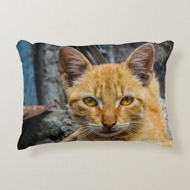 Almofada Decorativa Olhos de ouro (Frente)