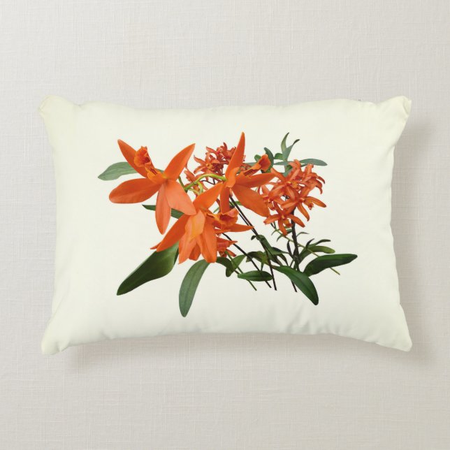 Almofada Decorativa Orquídea Epidendrum Laranja (Frente)