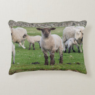 Almofada Decorativa ovelha Shetland