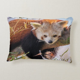 Almofada Decorativa Pantaninha vermelha preguiçosa