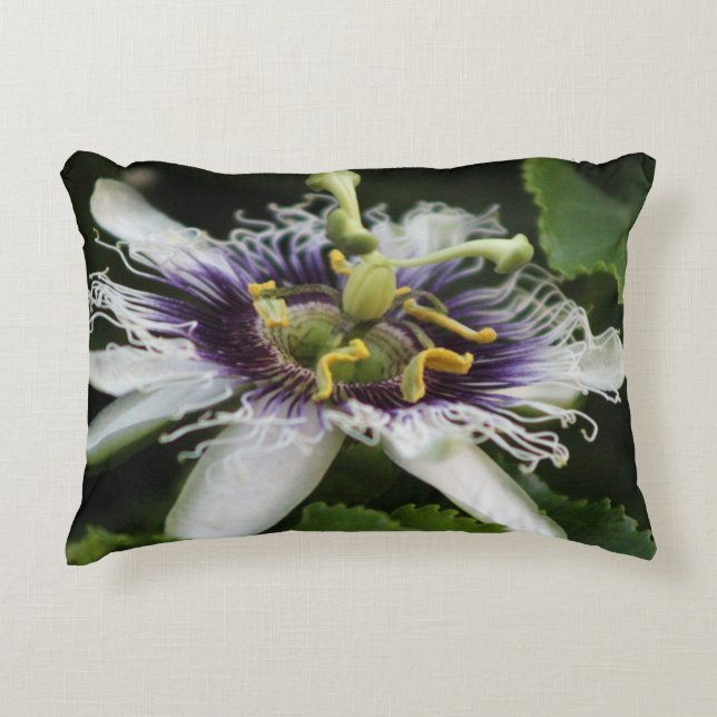 Almofada Decorativa Passion Flower Closeup 3 (Frente)