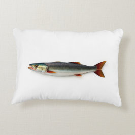 Almofada Decorativa Peixe snoek em um fundo branco simples