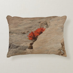 Almofada Decorativa Pincel Indiano em Rochas em Zion
