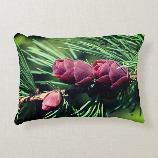 Almofada Decorativa Pineges miniatura Fechar (Frente)