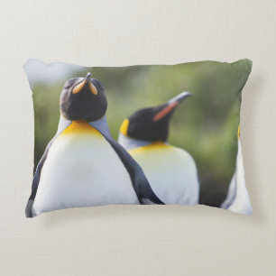 Almofada Decorativa Pinguins-rei