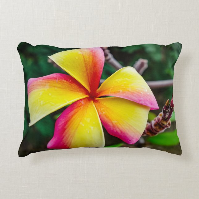 Almofada Decorativa Plumeria rubra (Frente)