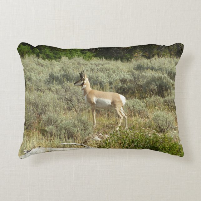 Almofada Decorativa Pronghorn no Grand Teton National Park (Frente)
