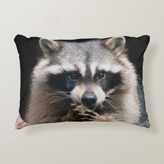 Almofada Decorativa Raccoon 004 (Frente)
