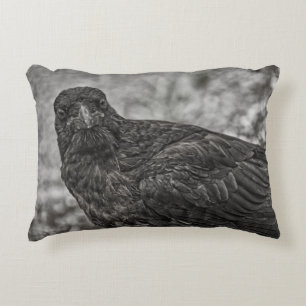 Almofada Decorativa Raven P9239
