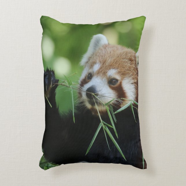Almofada Decorativa RedPanda 002 (Frente(Vertical))
