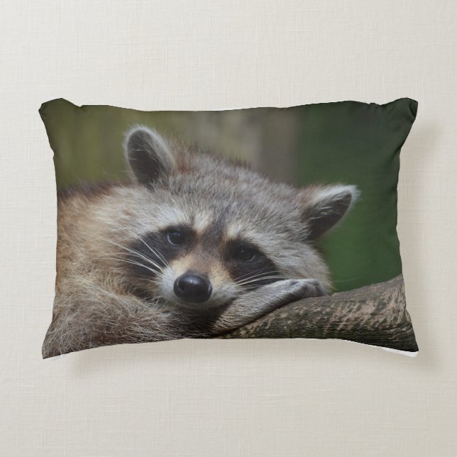 Almofada Decorativa Resting Raccoon (Frente)