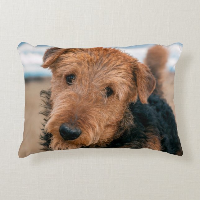 Almofada Decorativa Retrato de um Airedale Terrier (Frente)
