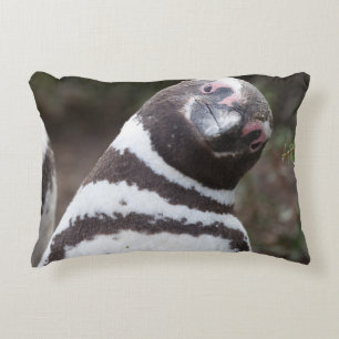 Almofada Decorativa Retrato do pinguim de Magellanic