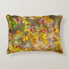 Almofada Decorativa Rosehip Autumn