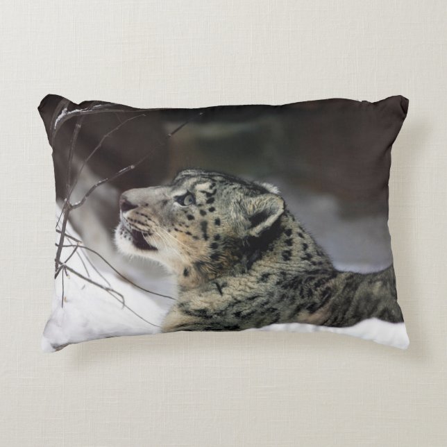 Almofada Decorativa Serene Snow Leopardo (Frente)