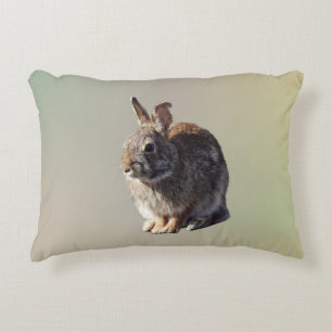 Almofada Decorativa Sessão De Rabbit