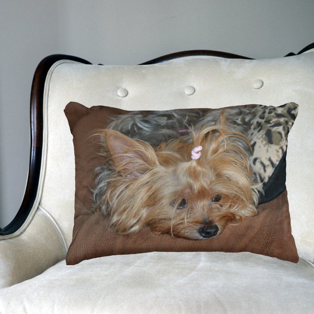 Almofada Decorativa Sleepy Adorable Yorkshire Terrier Puppy (Criador carregado)