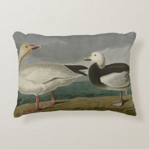 Almofada Decorativa Snow Goose from Audubon's Birds of America