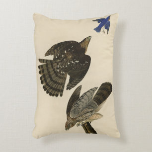 Almofada Decorativa Stanley (Cooper's) Hawk Audubon's Birds of America