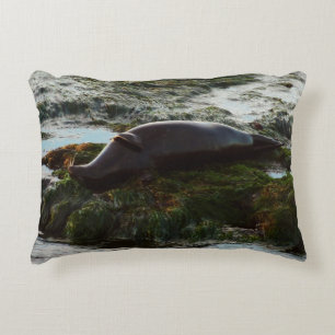 Almofada Decorativa Sunset Lit Harbor Seal II em San Diego