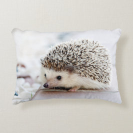 Almofada Decorativa Sweet Baby Hedgehog