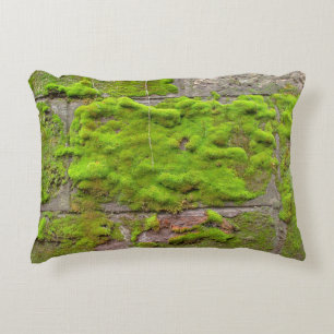 Almofada Decorativa Textura verde de rocha do muro do Moss