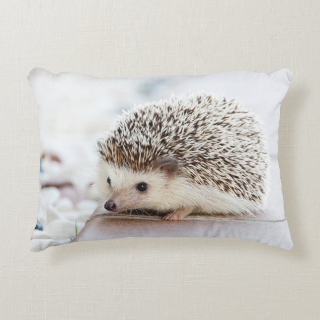 Almofada Decorativa Tiny Hedgehog (Frente)