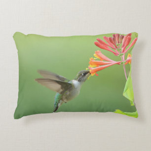 Almofada Decorativa Travesseira Decorativa com Beija-flor e Madressilv