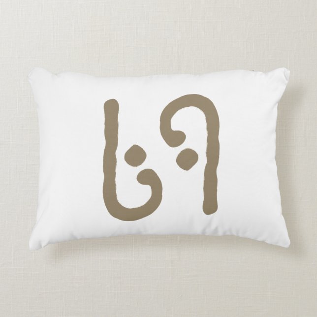 Almofada Decorativa travesseiro 69 ACCENT (Frente)