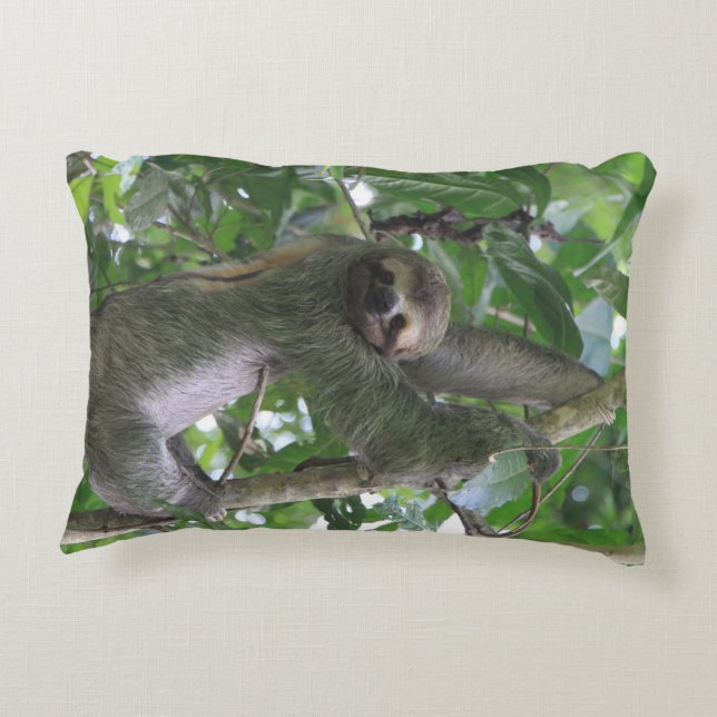 Almofada Decorativa Travesseiro da preguiça (Verso)