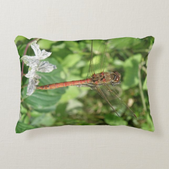 Almofada Decorativa Travesseiro Dark Dragonfly (Frente)