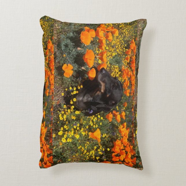 Almofada Decorativa Travesseiro DashshundAccent (Verso(Vertical))