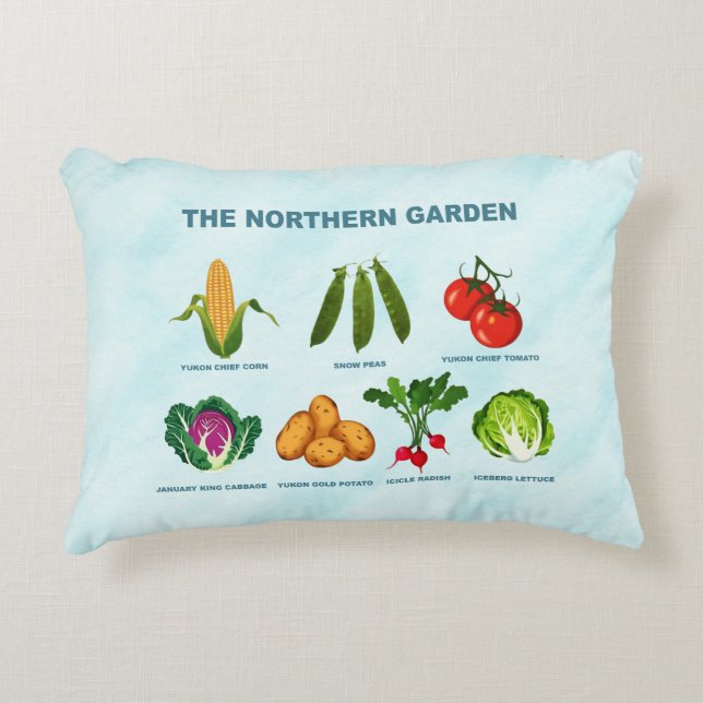 Almofada Decorativa Travesseiro de Destaque (Frente)