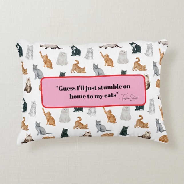 Almofada Decorativa Travesseiro de Destaque de Gato (Frente)