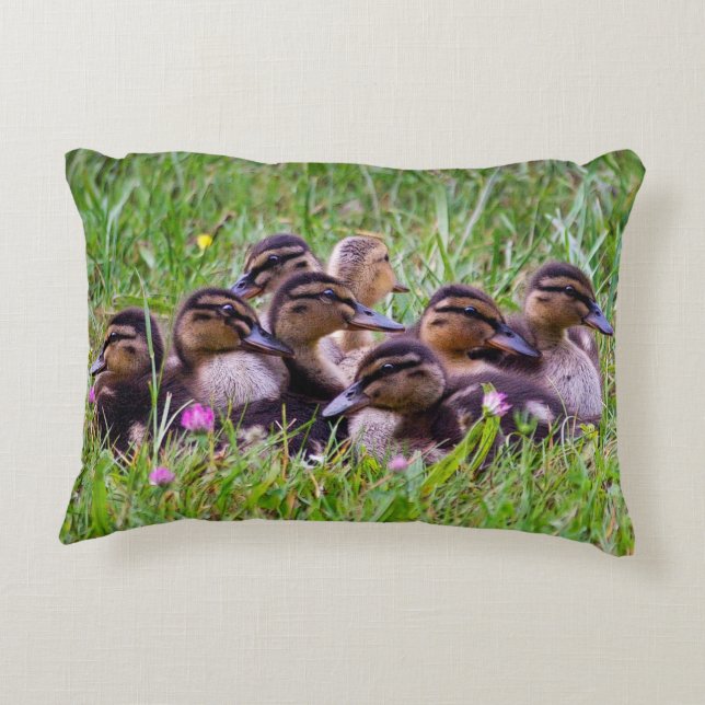 Almofada Decorativa Travesseiro de Duckling Huddle (Verso)