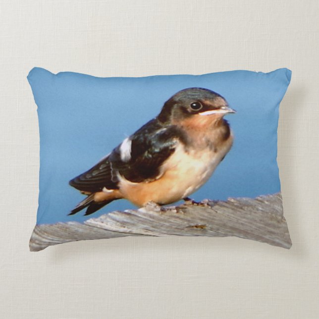 Almofada Decorativa Travesseiro de Ênfase de Engolir Barn (Frente)