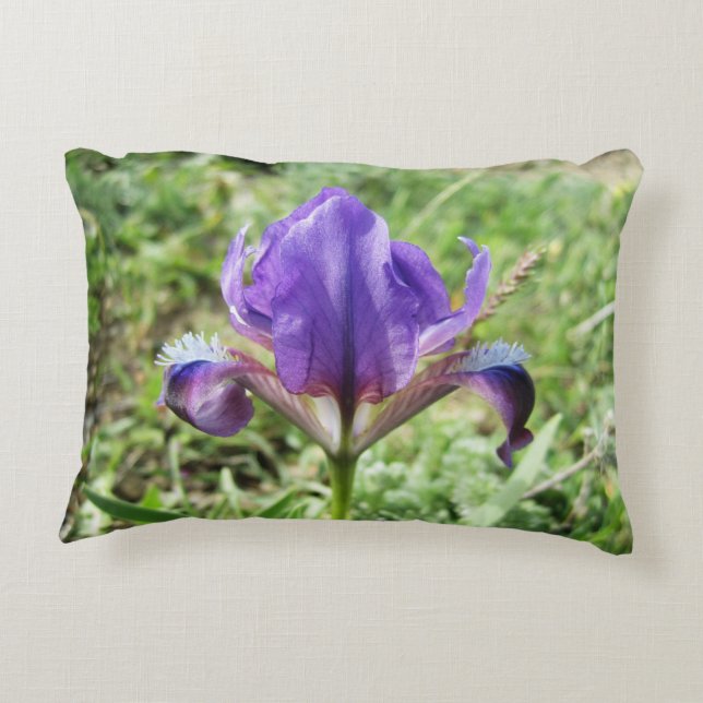Almofada Decorativa Travesseiro de Ênfase Iris Selvagem (Verso)
