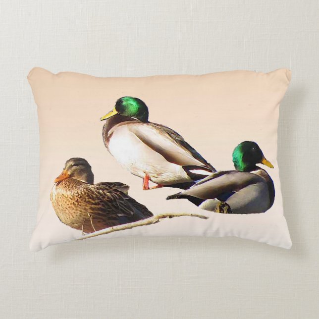 Almofada Decorativa Travesseiro de Ênfase Três Patos-Alarde (Frente)