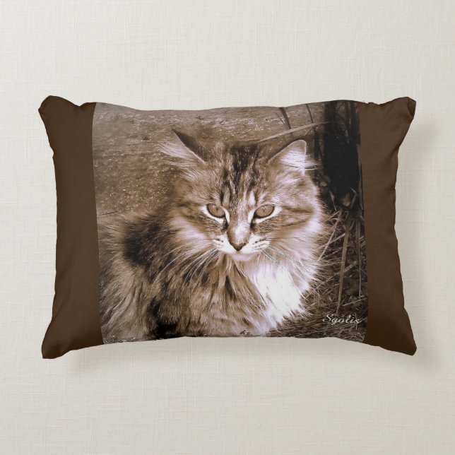 Almofada Decorativa Travesseiro decorativo de Gato Sepia Maine Coon (Frente)