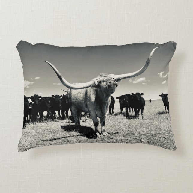 Almofada Decorativa Travesseiro decorativo Longhorn (Frente)
